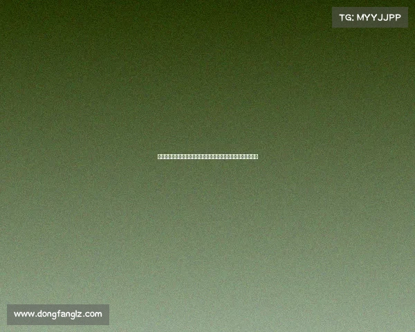 聚焦球队阵容深度剖析与战术布局探讨打造冠军级球队的关键要素